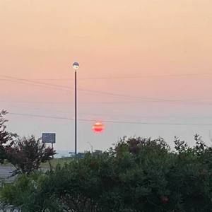 Meet your Posher, Rick